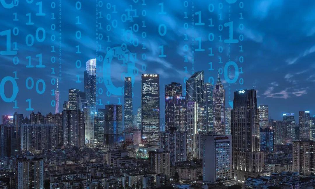 数字政府：新疆生产建设兵团信息资源目录体系建设项目